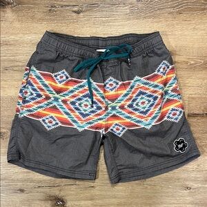 Hooey Gray and Multicolor Patterned Board Shorts